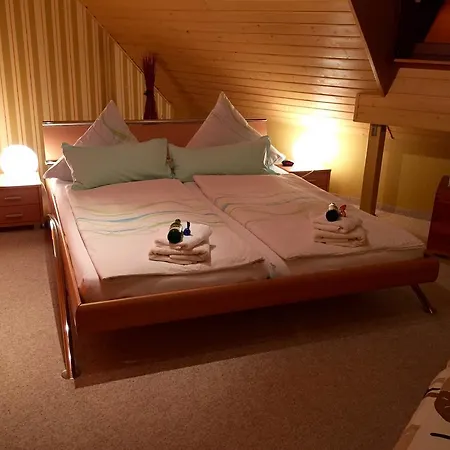 Apartament Tina Pirna